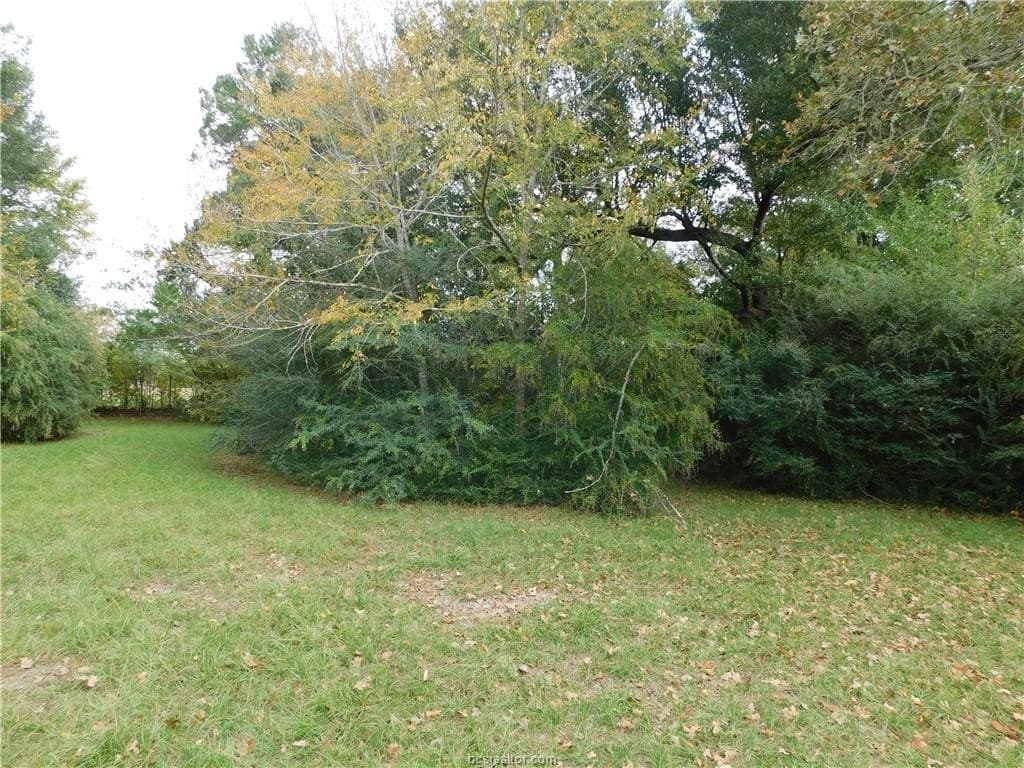 0.72 acres in Brazos County - photo 11