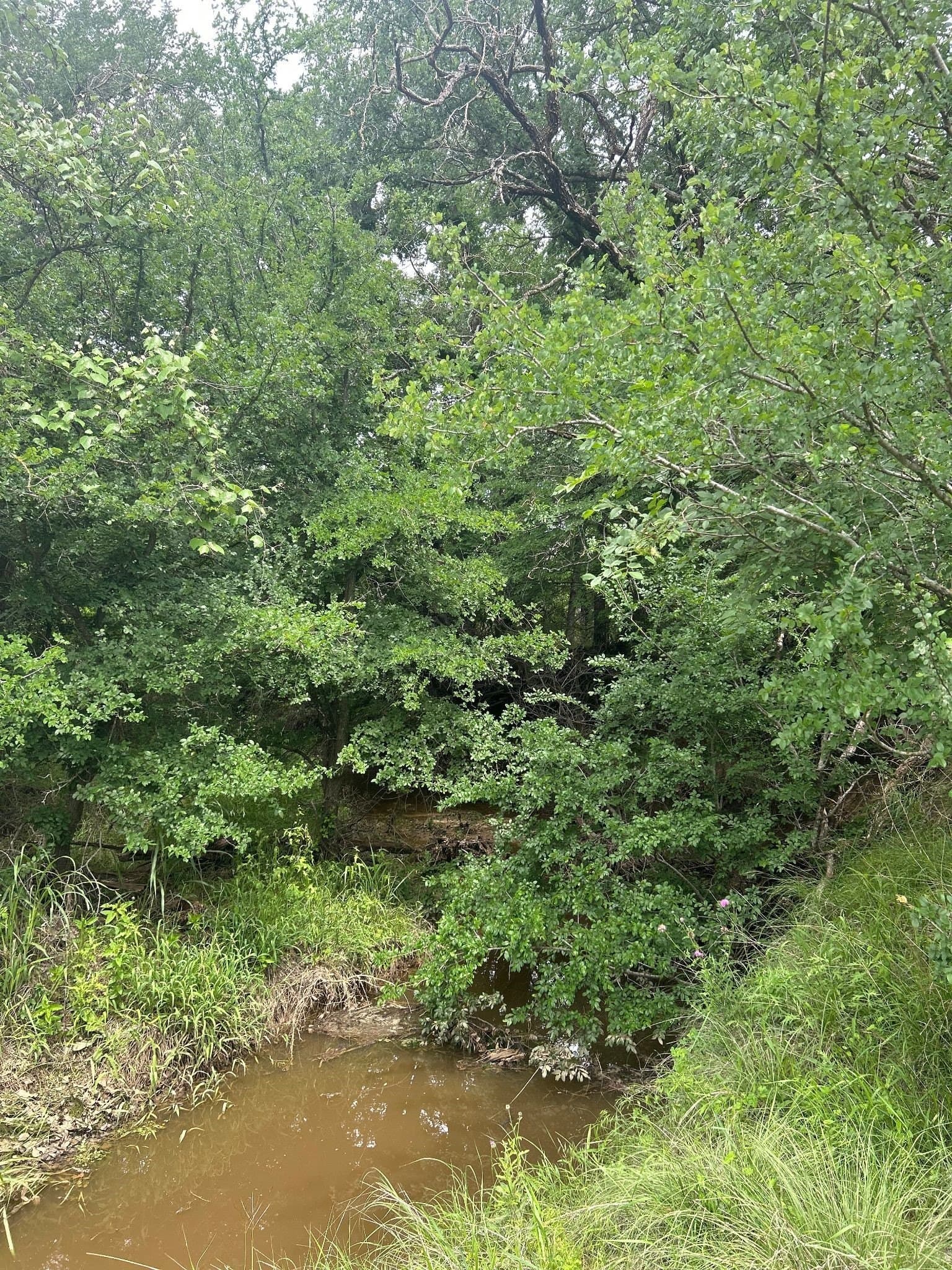 8.91 acres in Erath County - photo 10