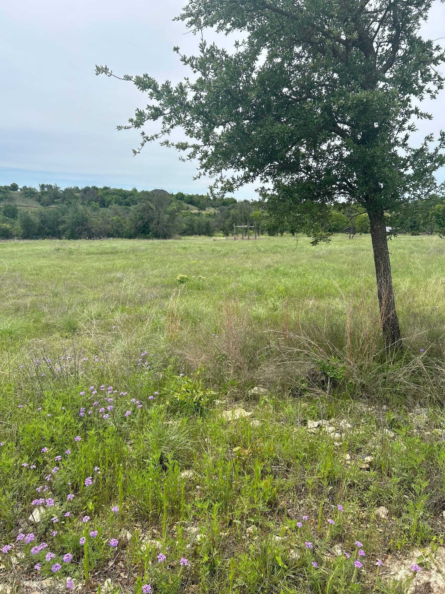 8.91 acres in Erath County - photo 11