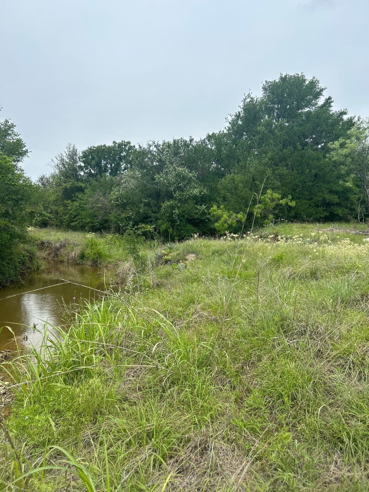 8.91 acres in Erath County - photo 5