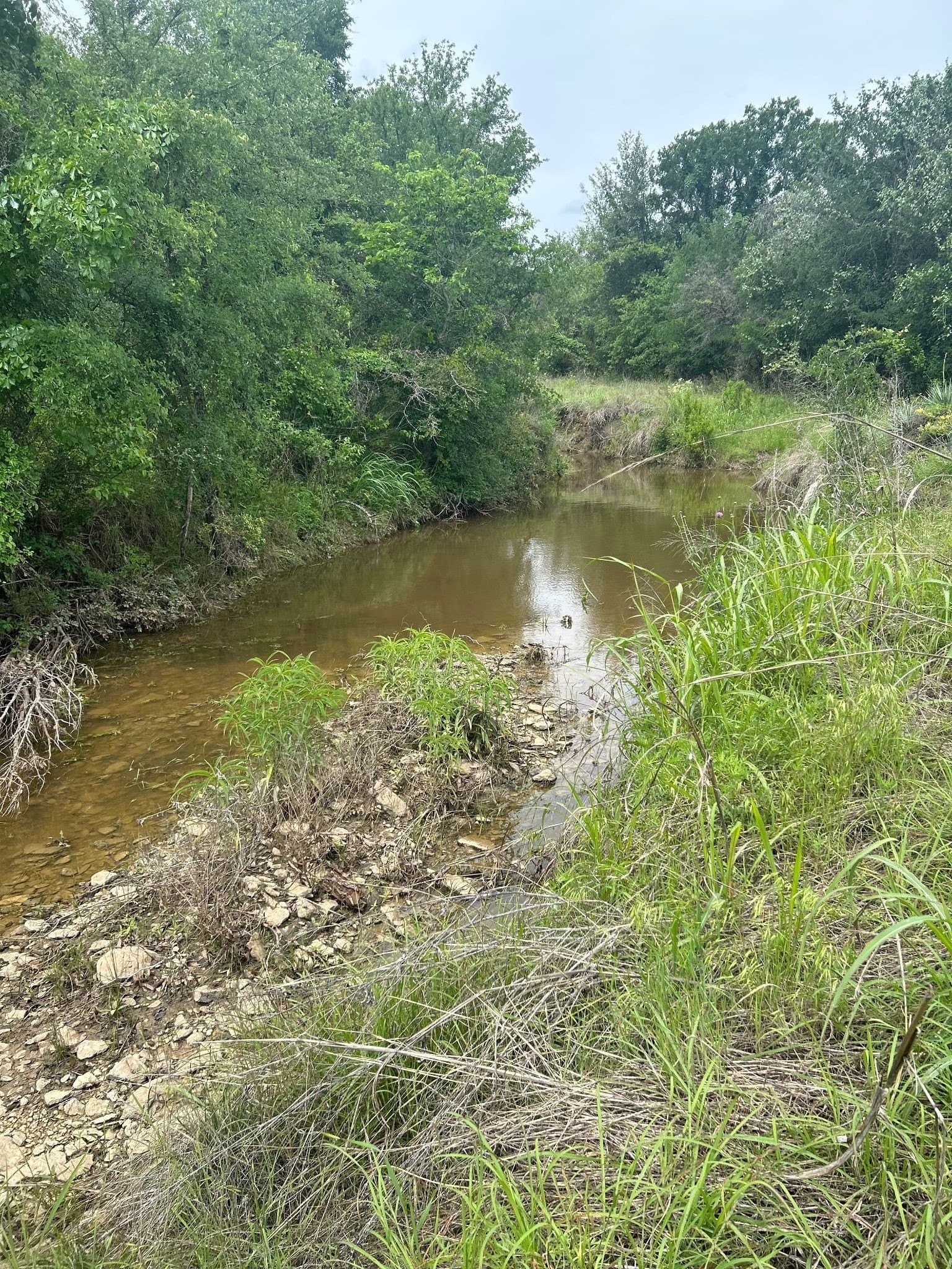 8.91 acres in Erath County - photo 4