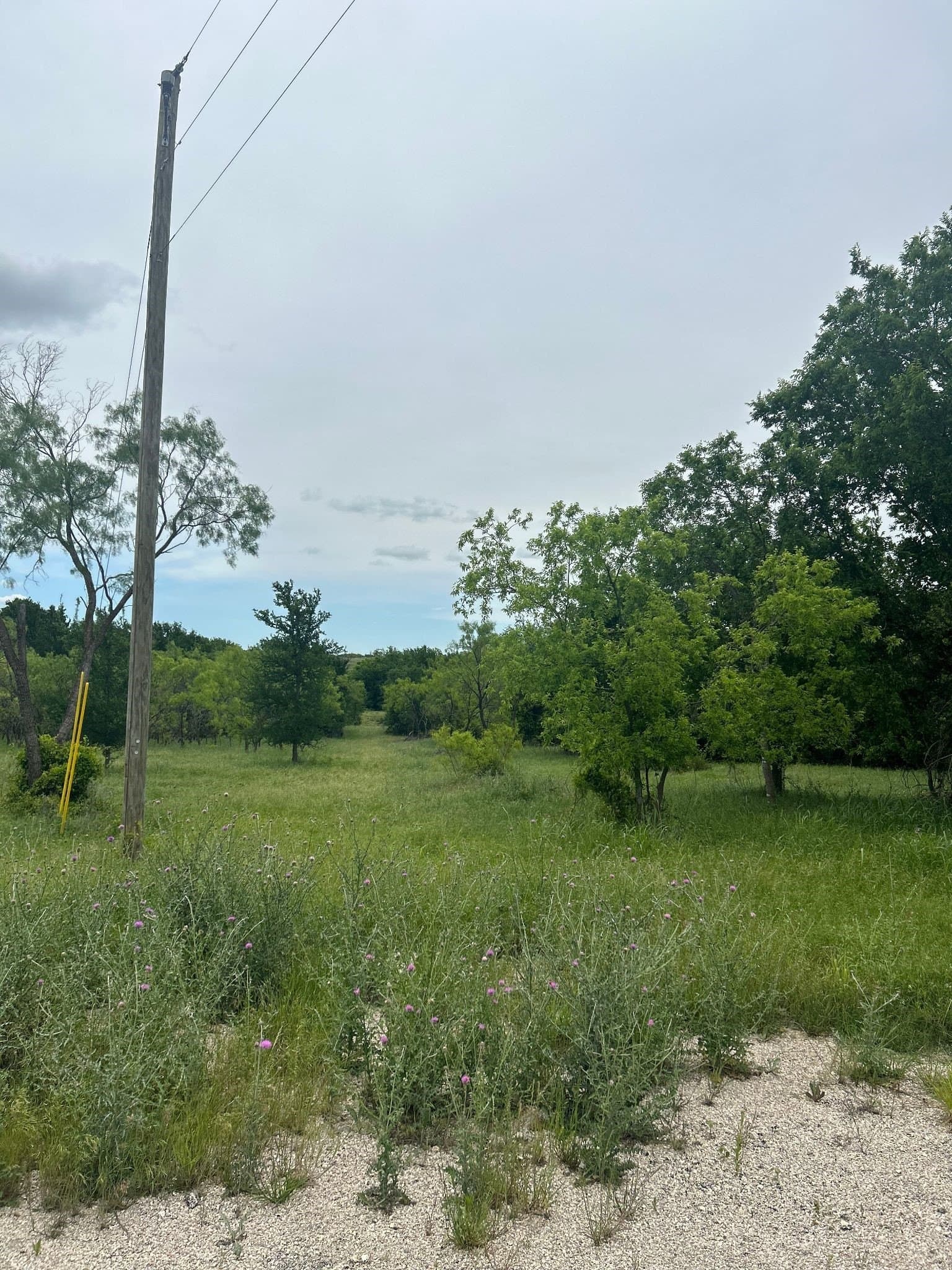 8.91 acres in Erath County - photo 12