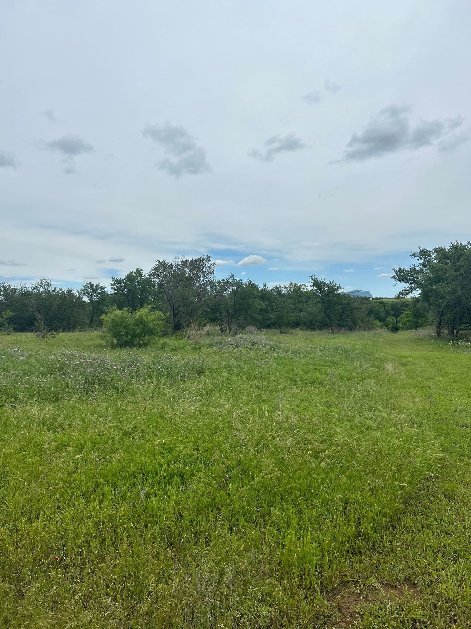8.91 acres in Erath County - photo 13