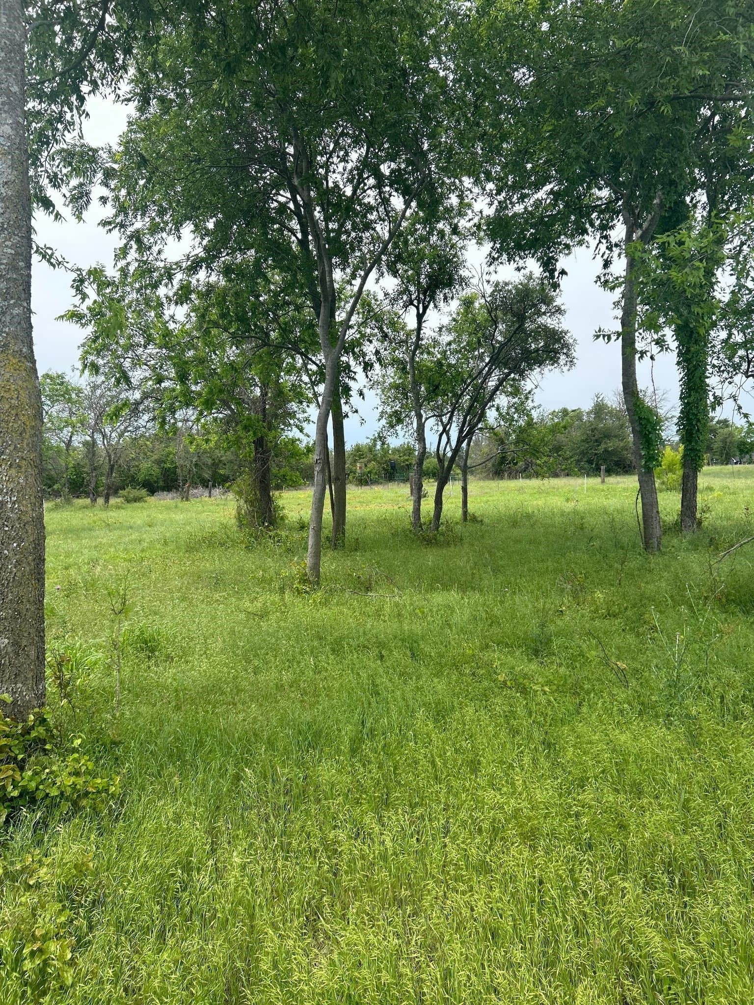 8.91 acres in Erath County - photo 3