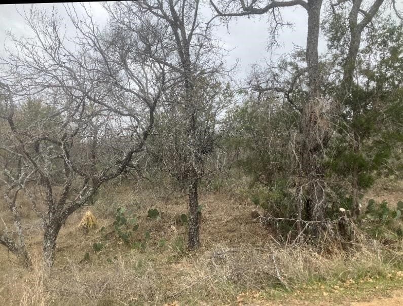 0.22 acres in Burnet County gallery image 2