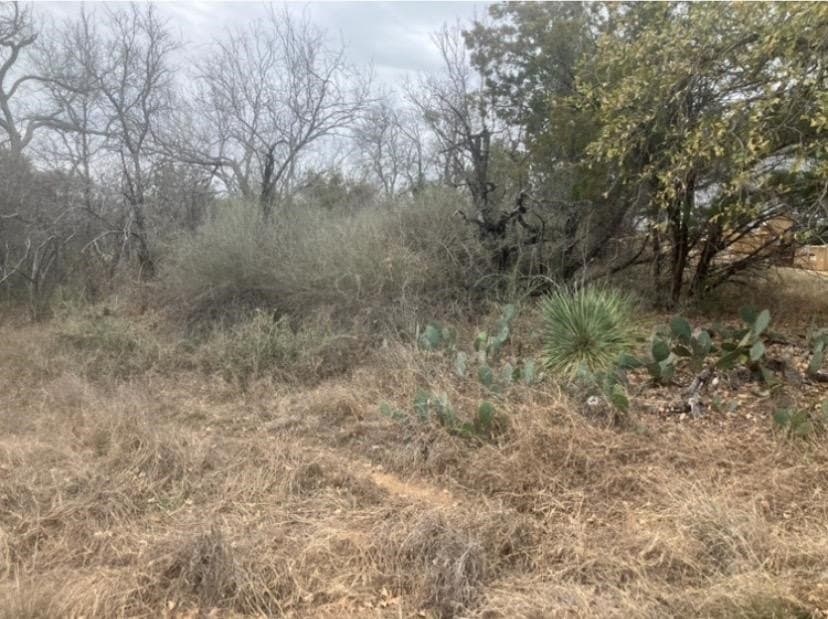 0.22 acres in Burnet County gallery image 4