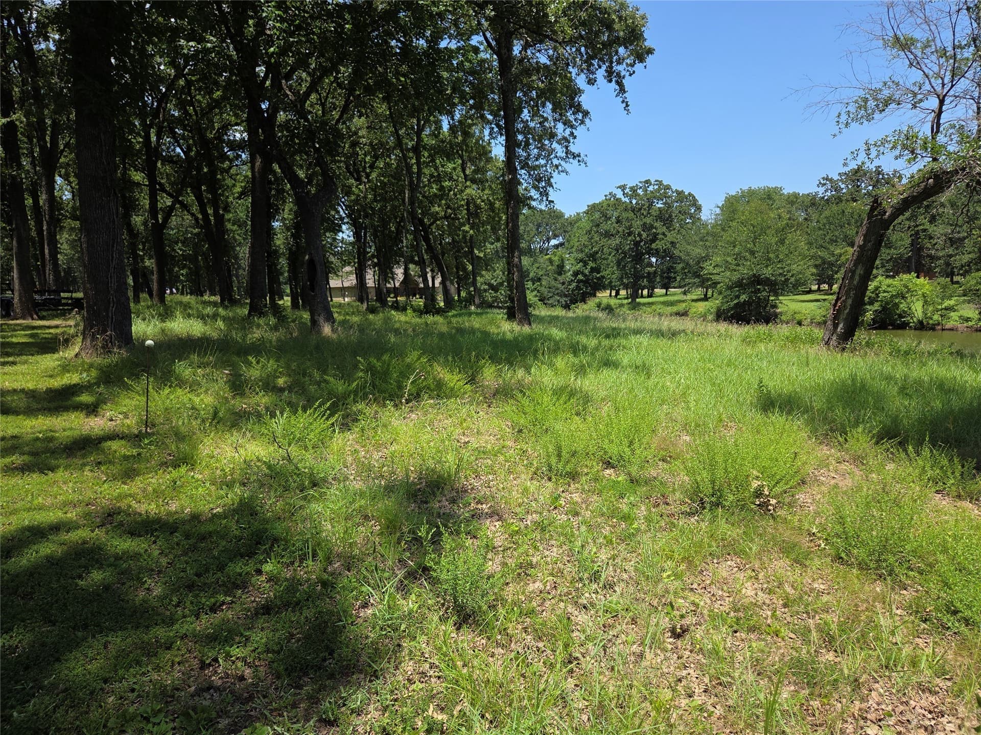 1 acres in Navarro County gallery image 2
