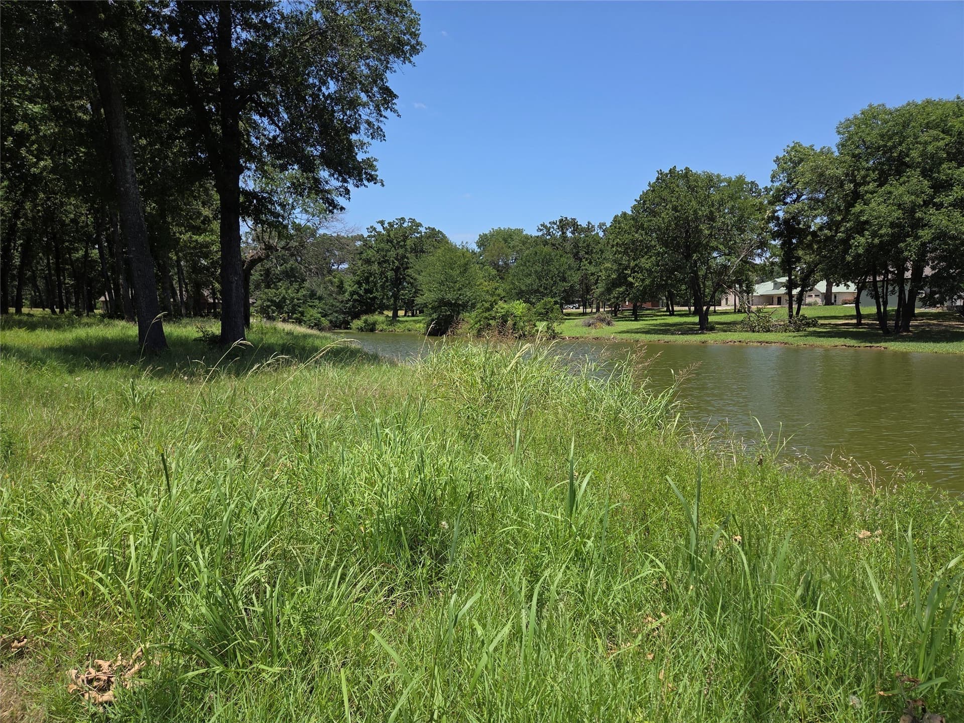 1 acres in Navarro County gallery image 3