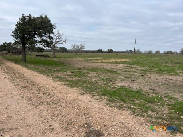 242.87 acres in DeWitt County featured view