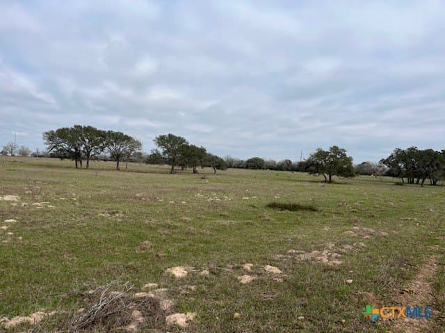 242.87 acres in DeWitt County gallery image 2