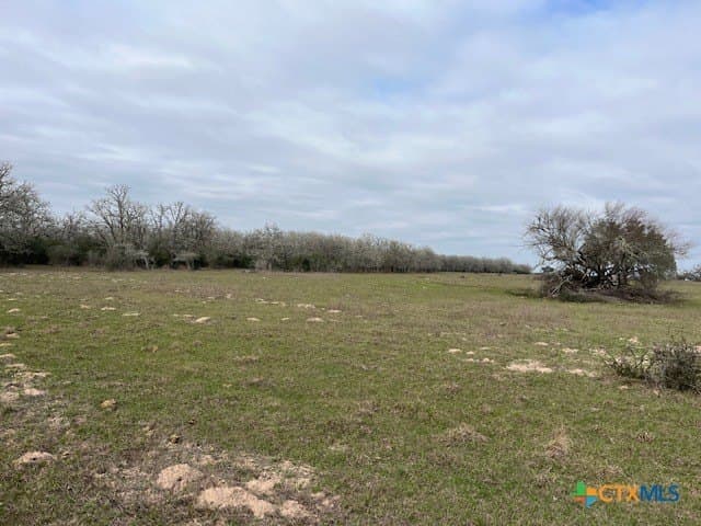 242.87 acres in DeWitt County - photo 11