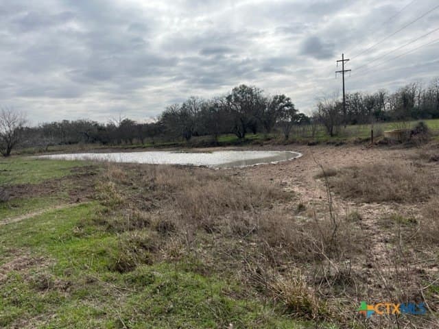 242.87 acres in DeWitt County - photo 7