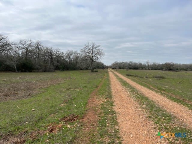 242.87 acres in DeWitt County - photo 8