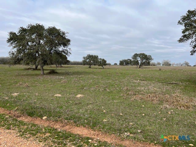 242.87 acres in DeWitt County - photo 9
