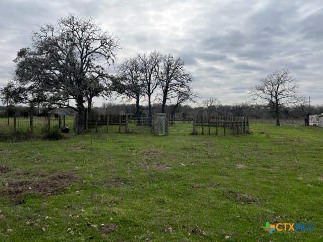 242.87 acres in DeWitt County gallery image 4