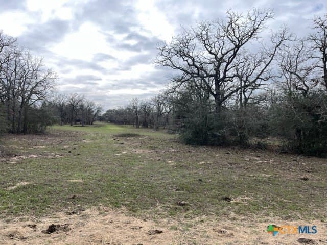 242.87 acres in DeWitt County - photo 10