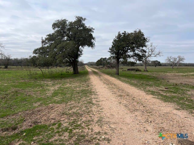 242.87 acres in DeWitt County - photo 6