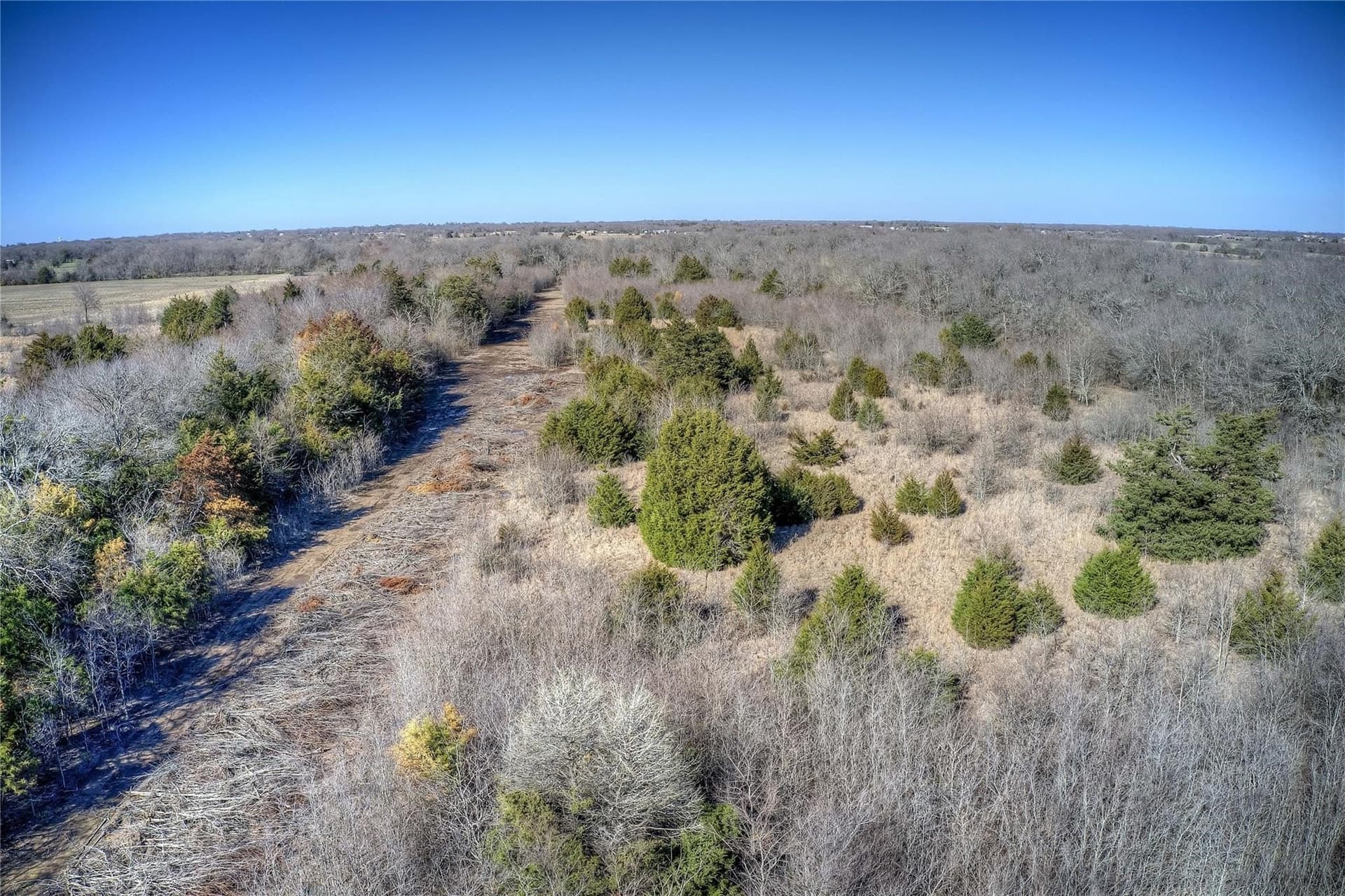 30.01 acres in Hunt County - photo 17