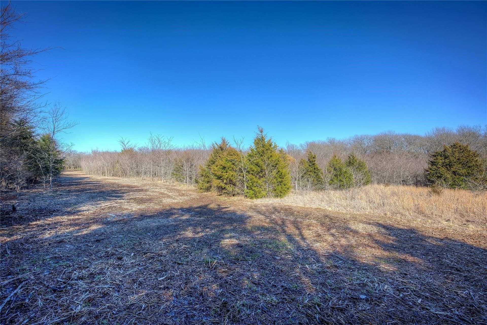 30.01 acres in Hunt County - photo 33