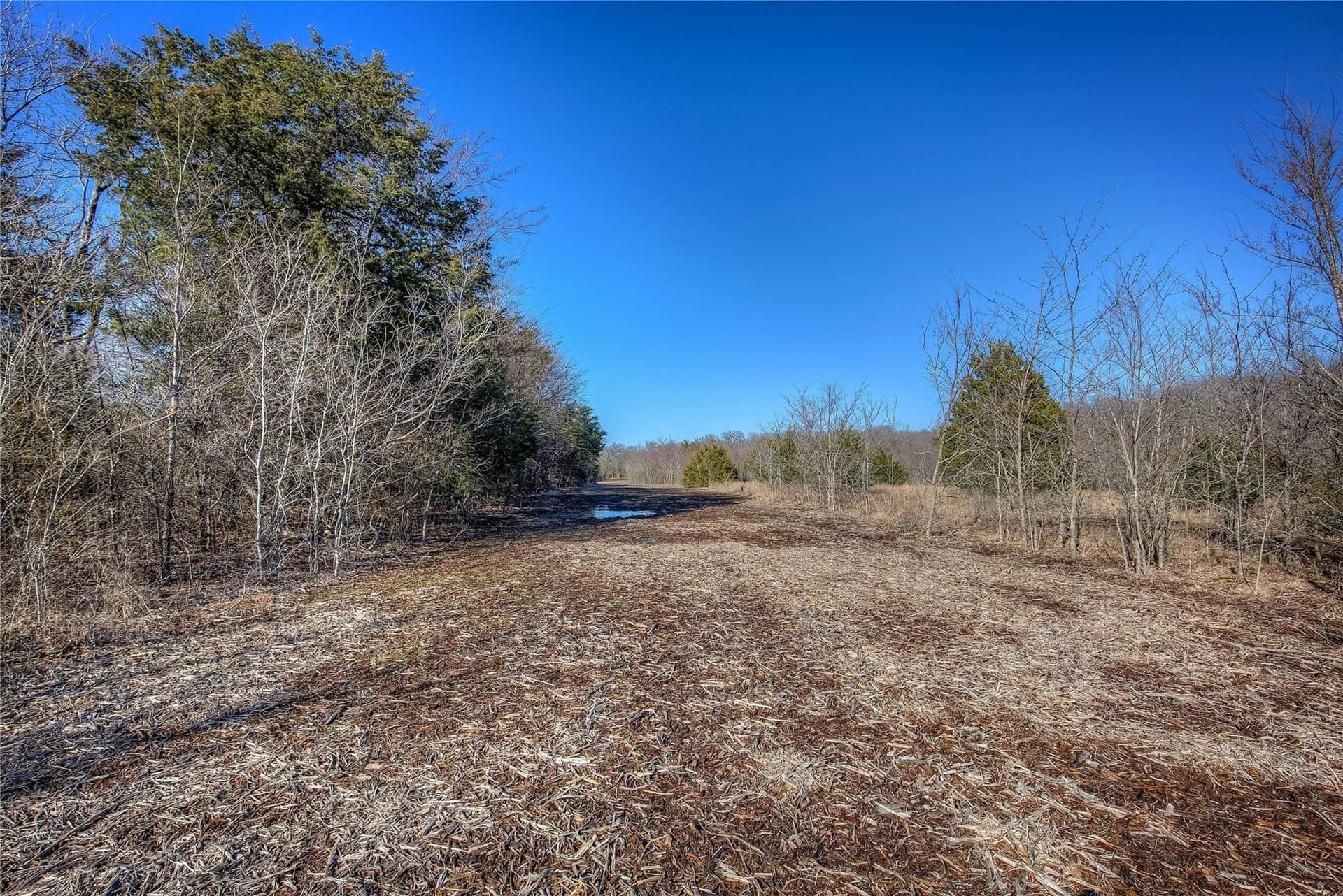 30.01 acres in Hunt County - photo 31