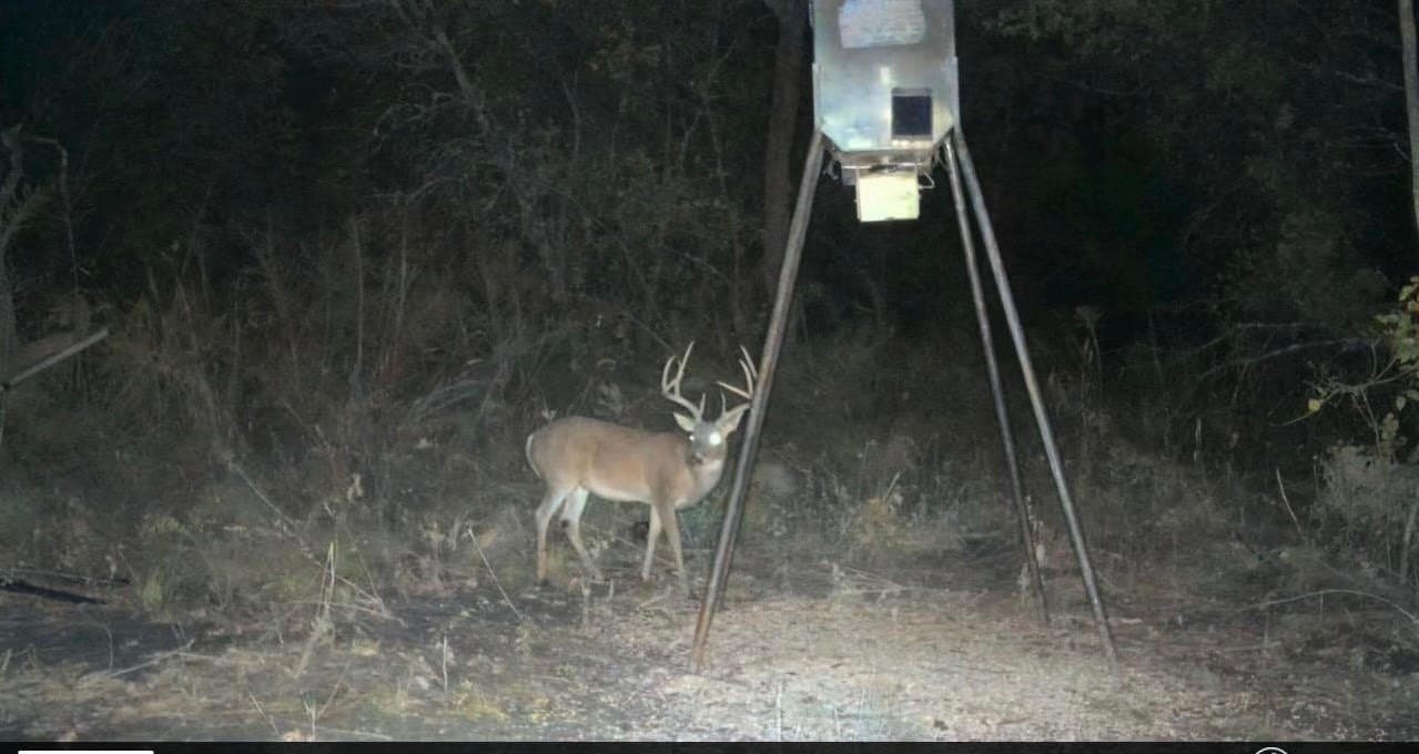 20 acres in Jack County - photo 3