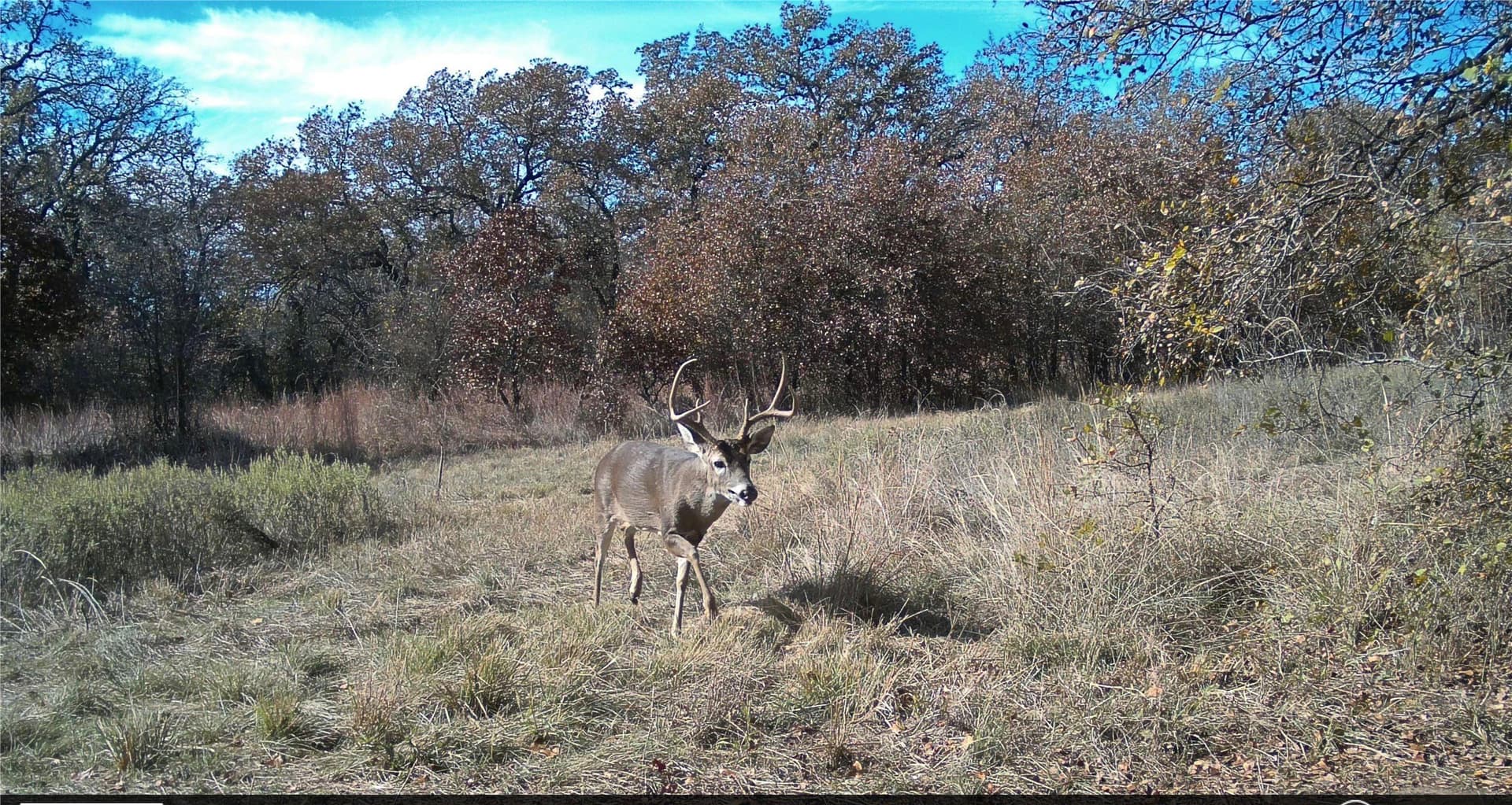 20 acres in Jack County - photo 2