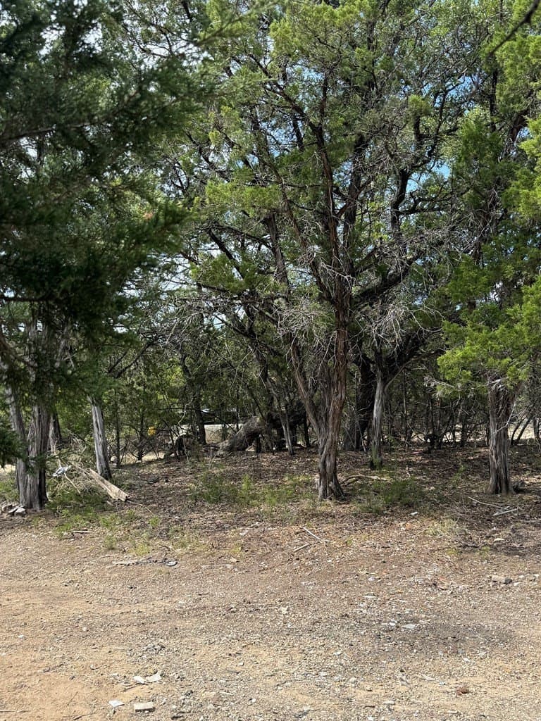 0.12 acres in Bandera County gallery image 2