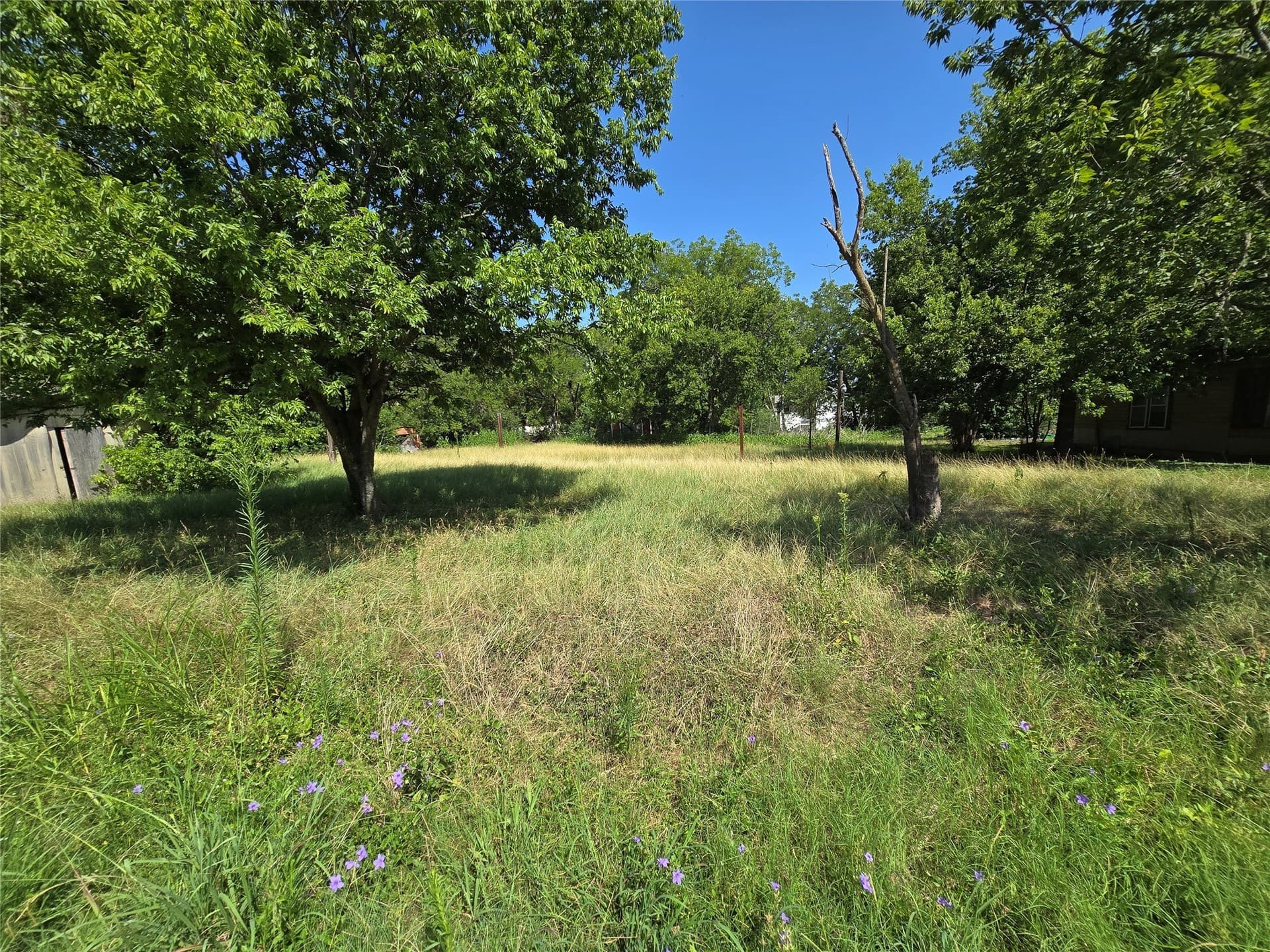 0.24 acres in Hill County gallery image 4