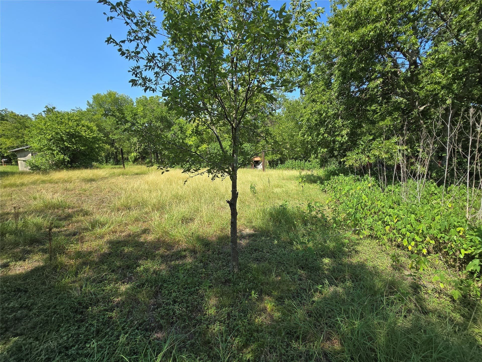 0.24 acres in Hill County gallery image 2