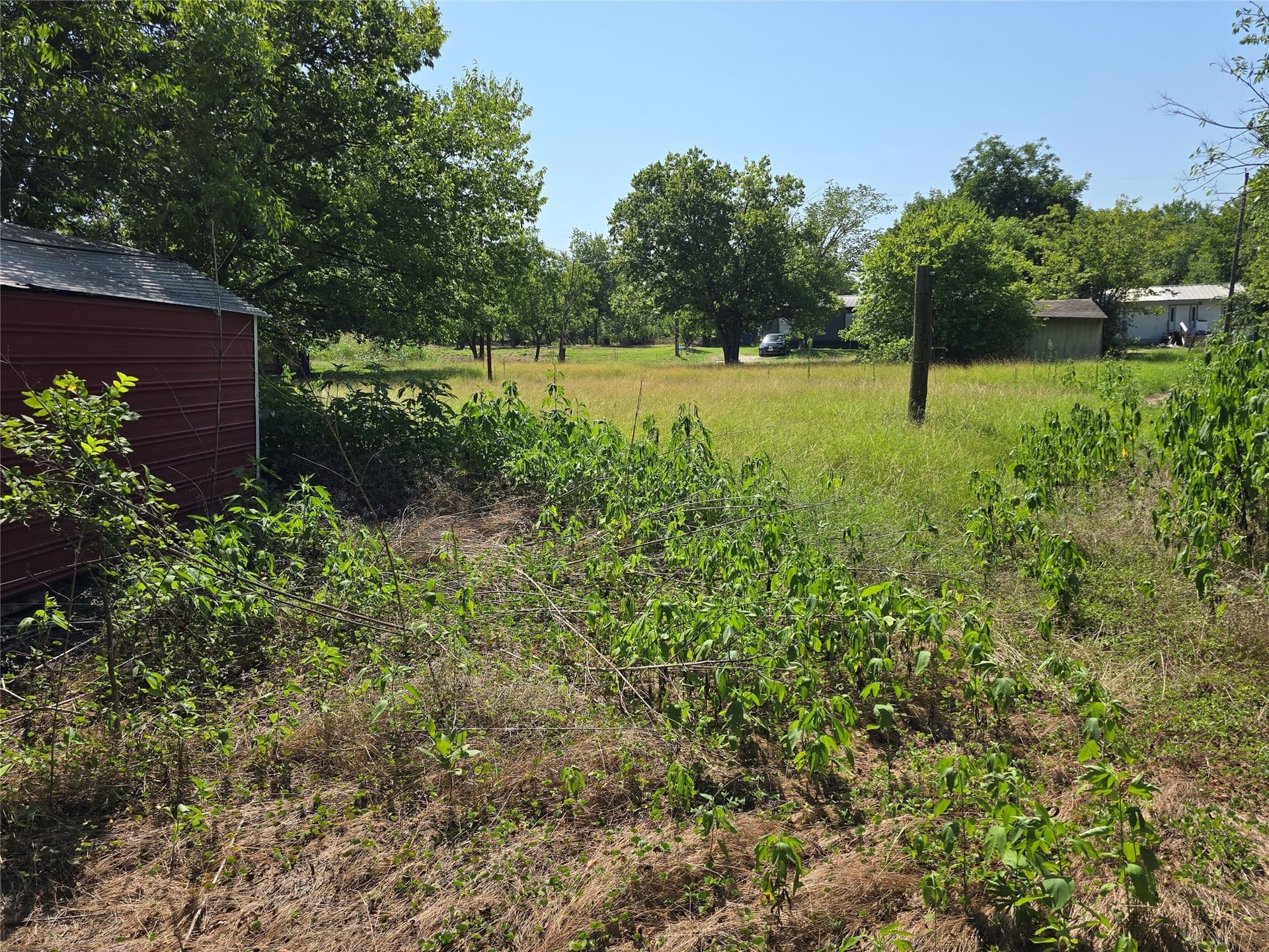 0.24 acres in Hill County - photo 9