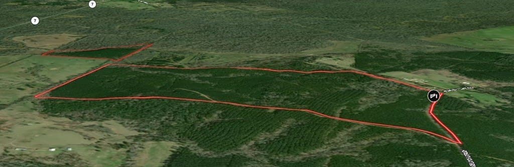 295.66 acres in Texas County gallery image 2