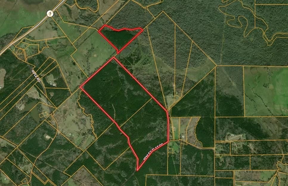 295.66 acres in Texas County