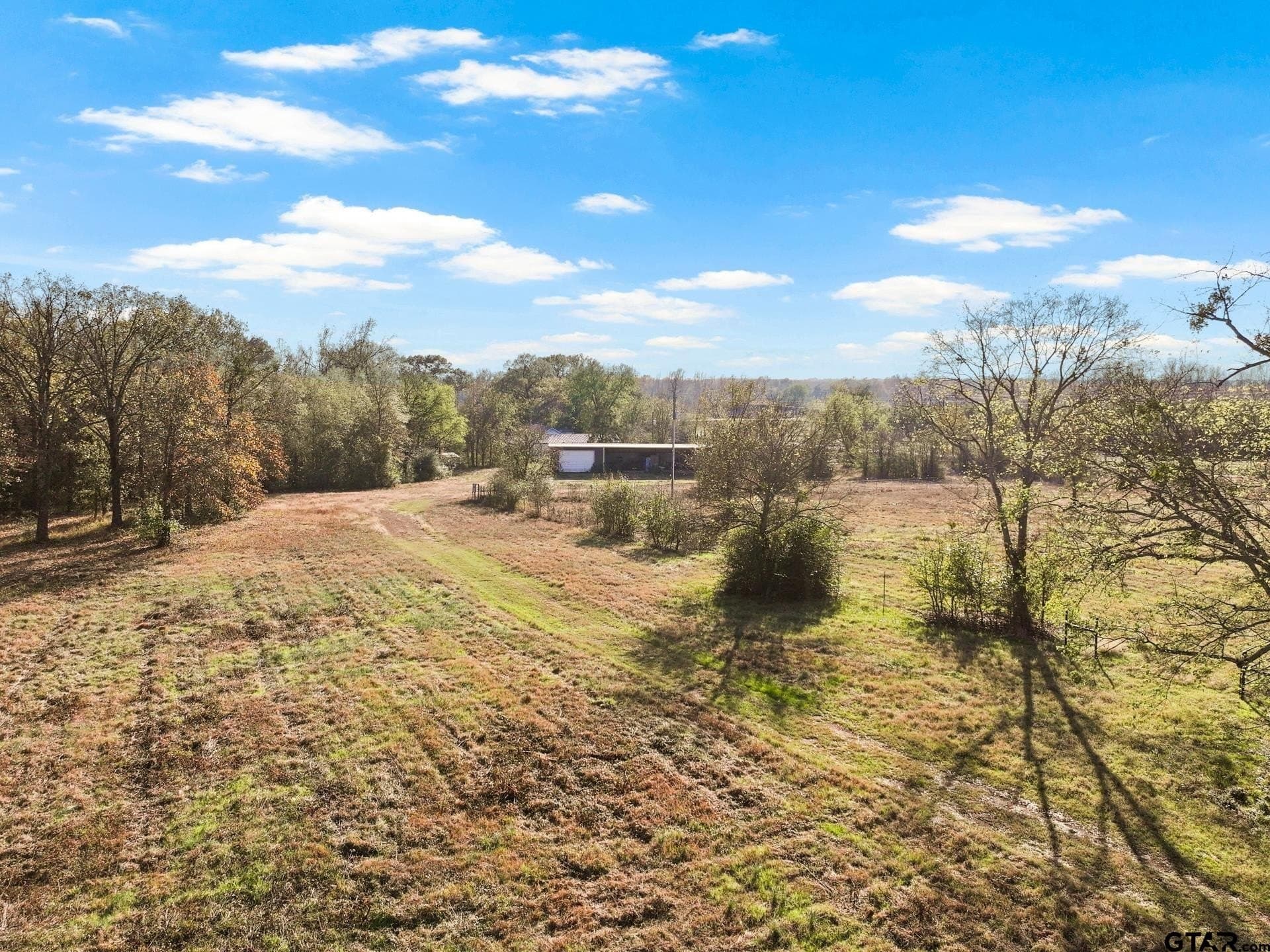 14.16 acres in Titus County - photo 3
