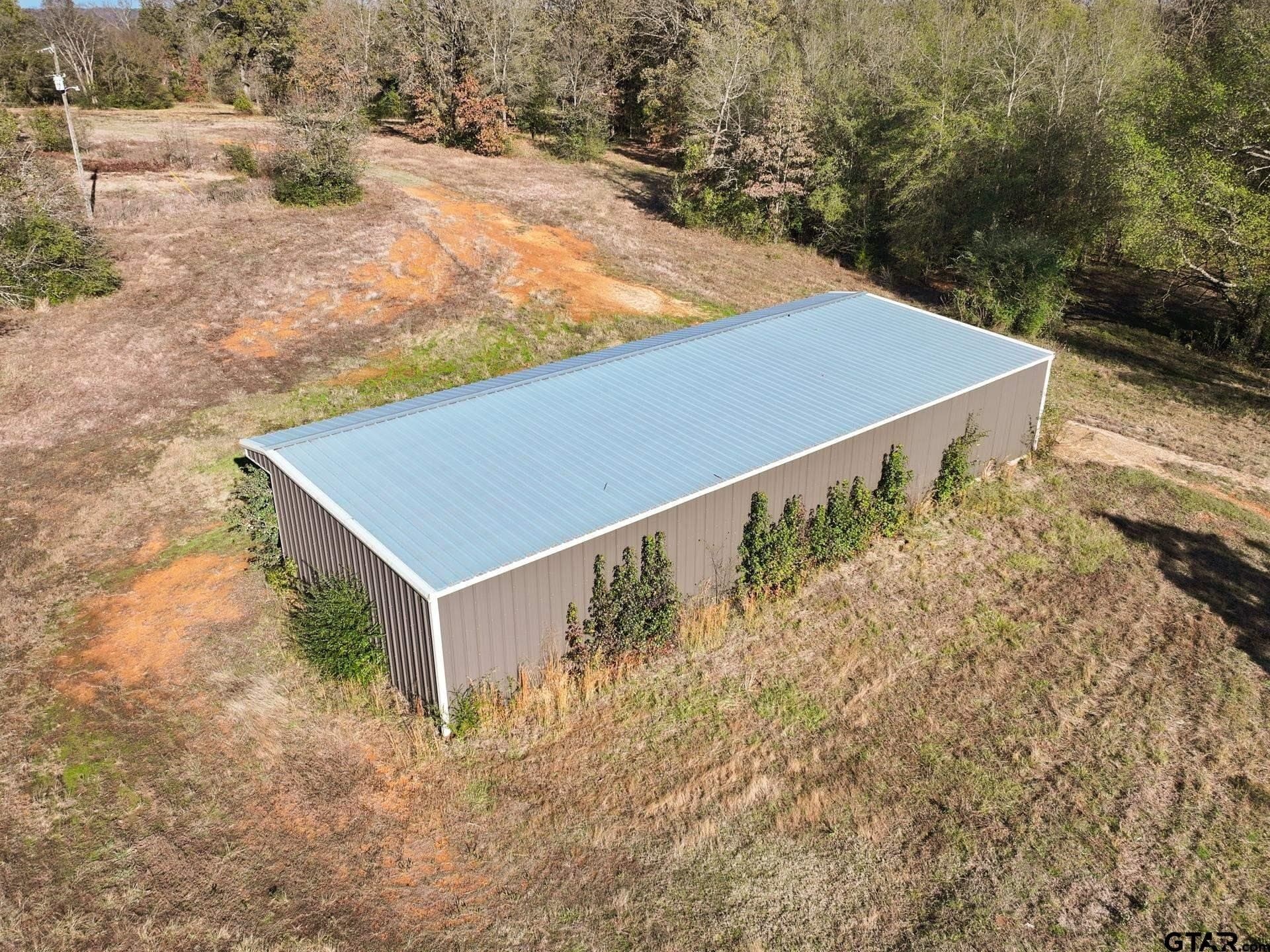 14.16 acres in Titus County - photo 8