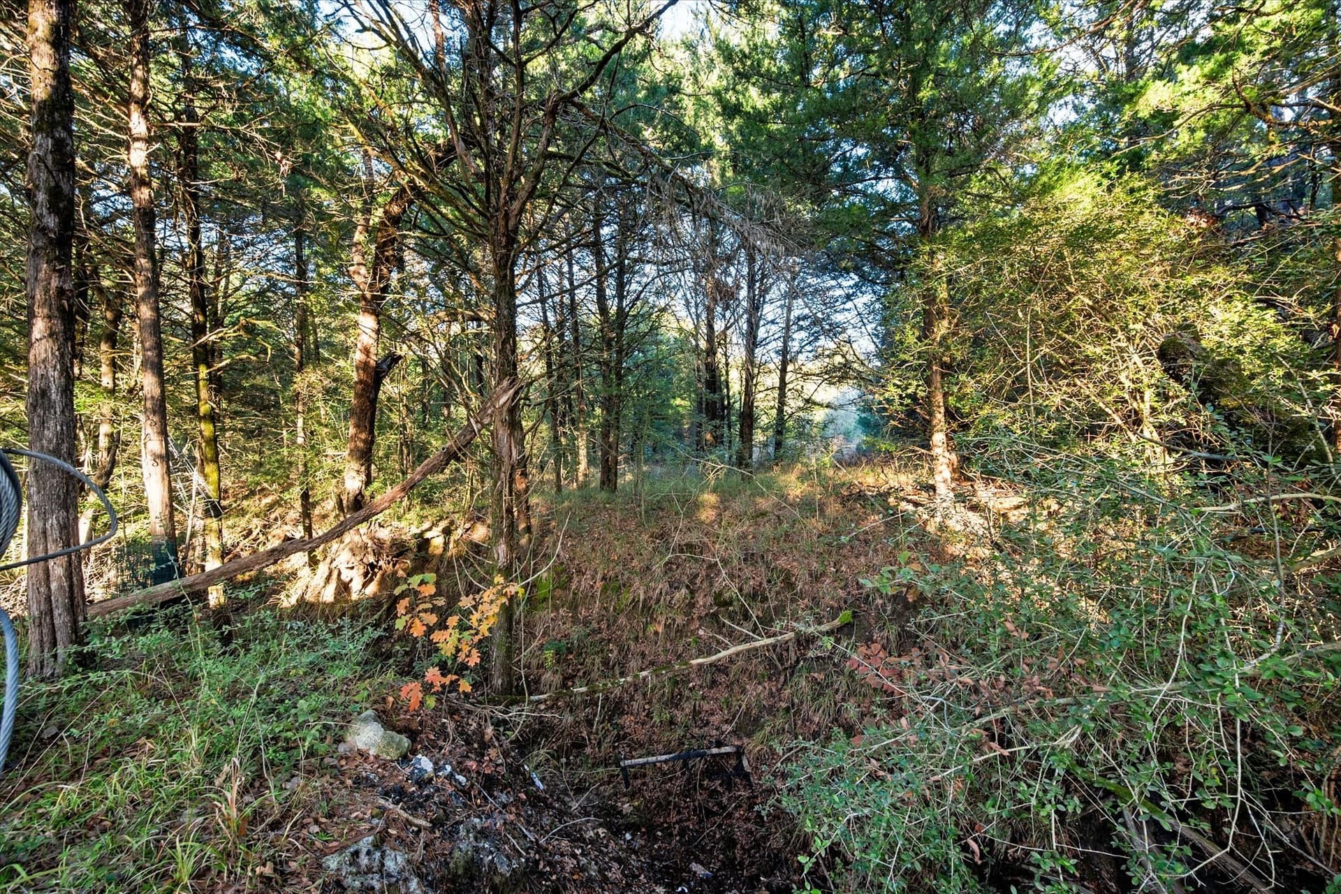 2.18 acres in Freestone County - photo 18