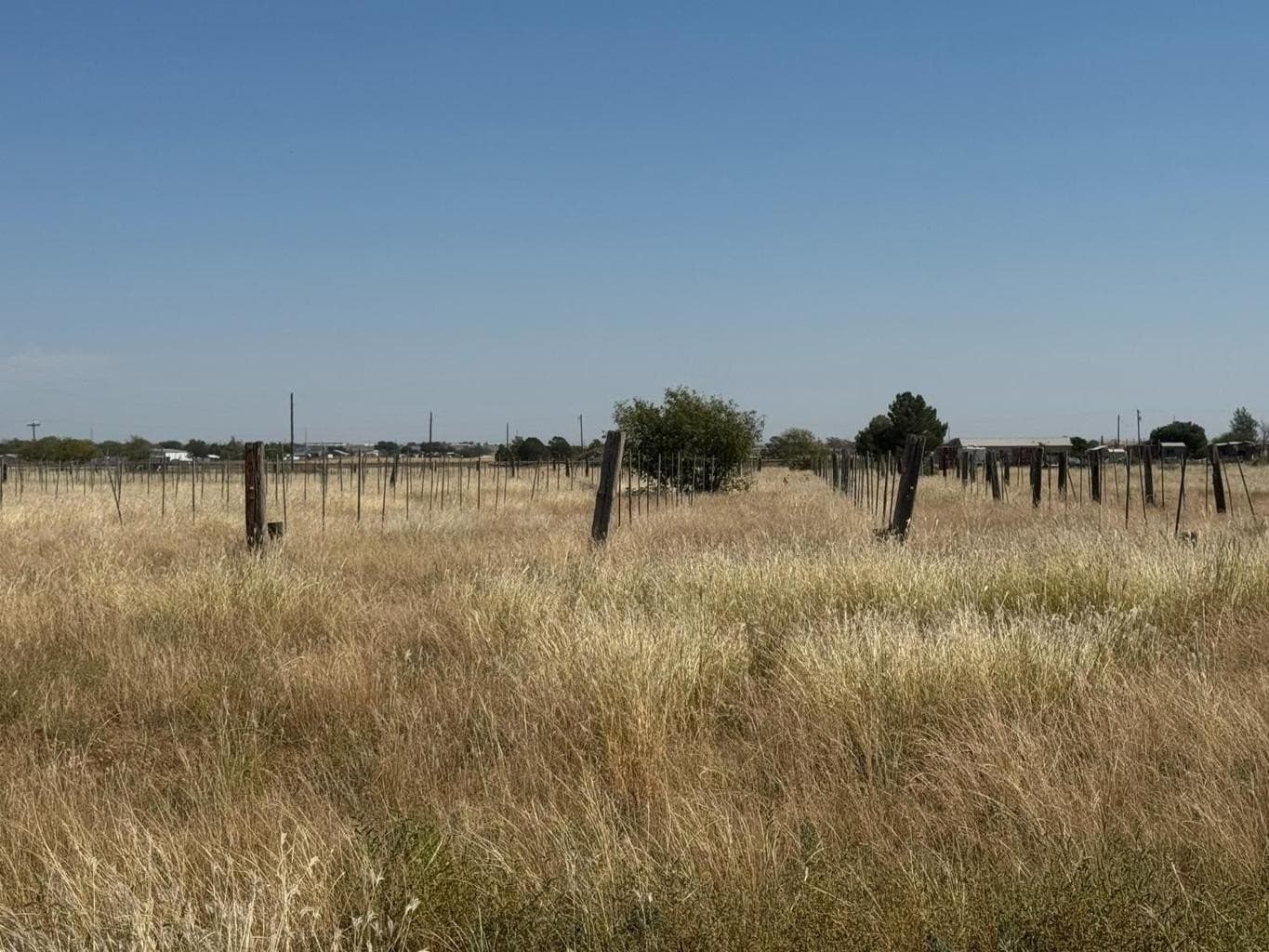 20.94 acres in Lubbock County - photo 3