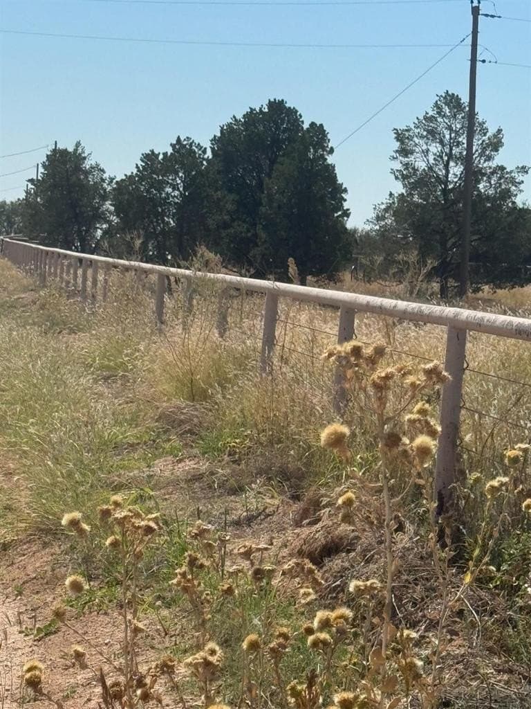 20.94 acres in Lubbock County - photo 8