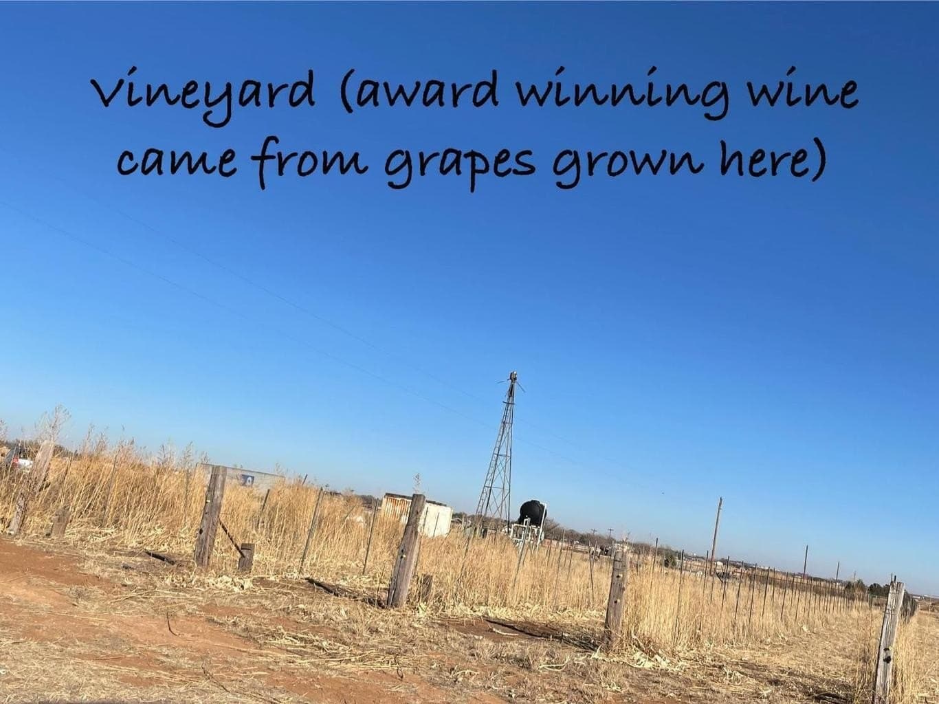 20.94 acres in Lubbock County - photo 2