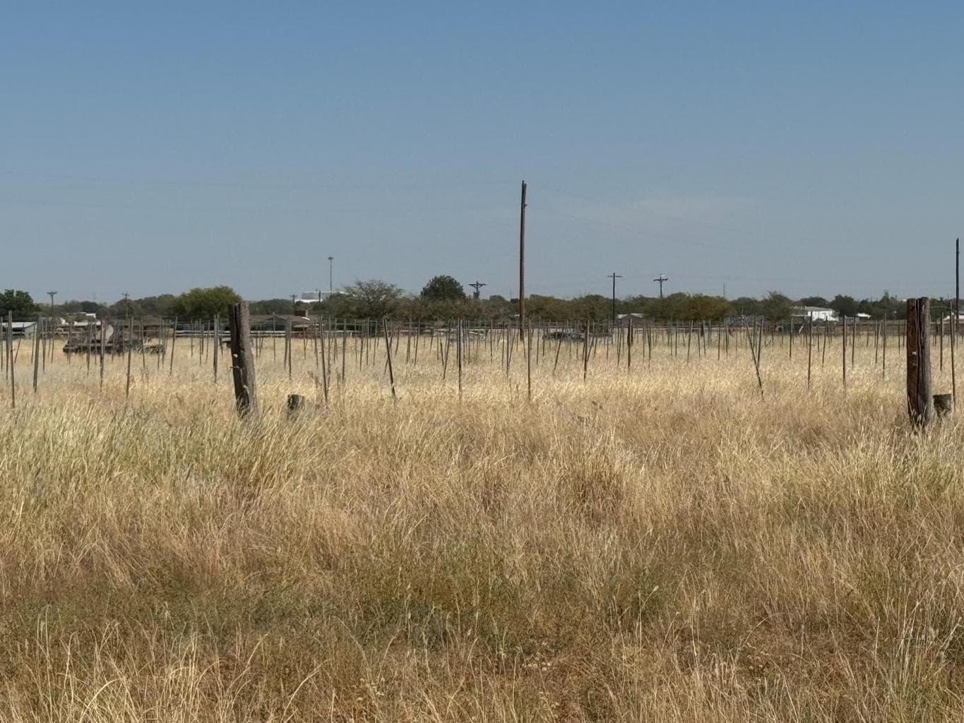 20.94 acres in Lubbock County - photo 5