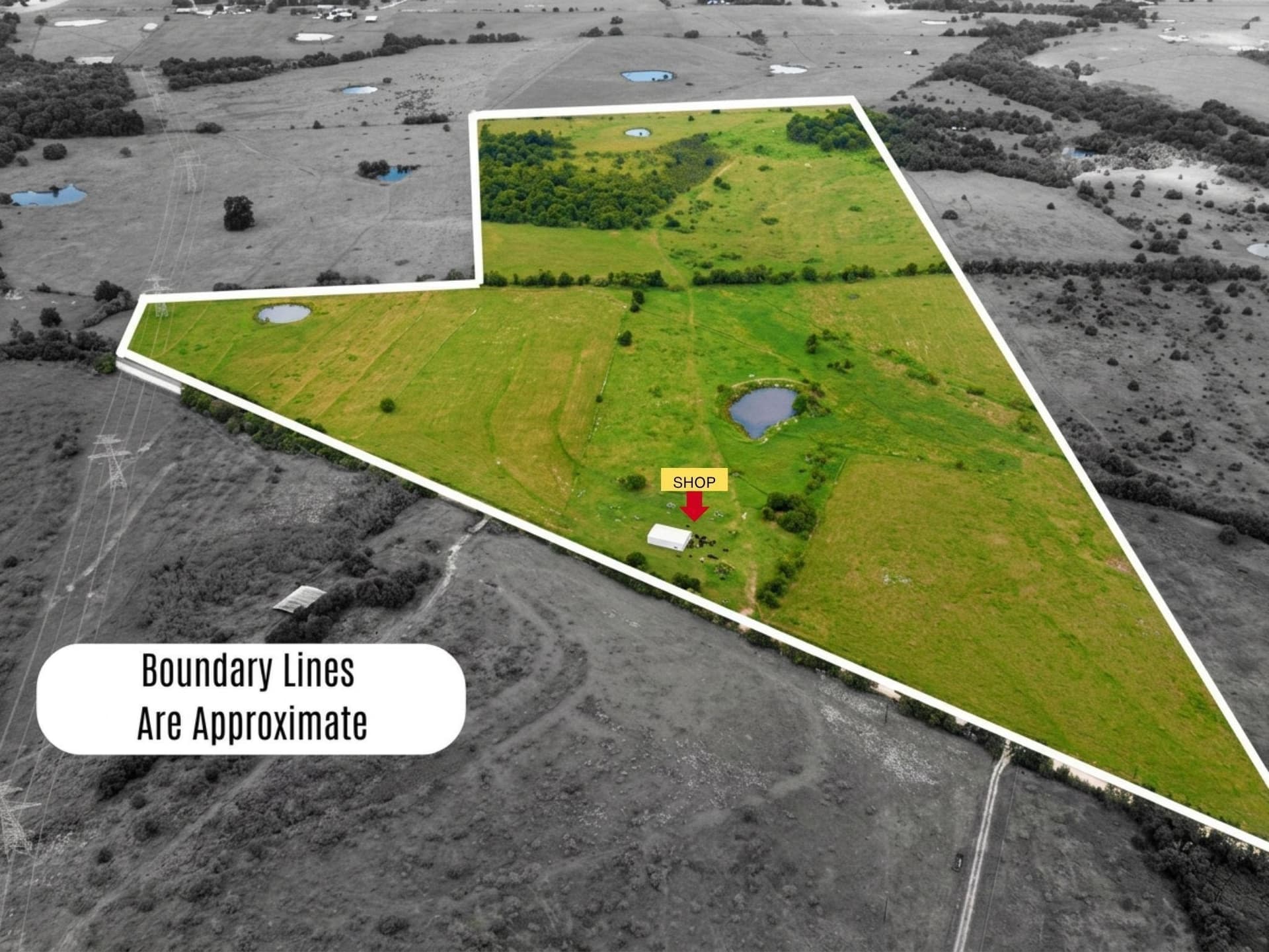 101 acres in Navarro County - photo 11