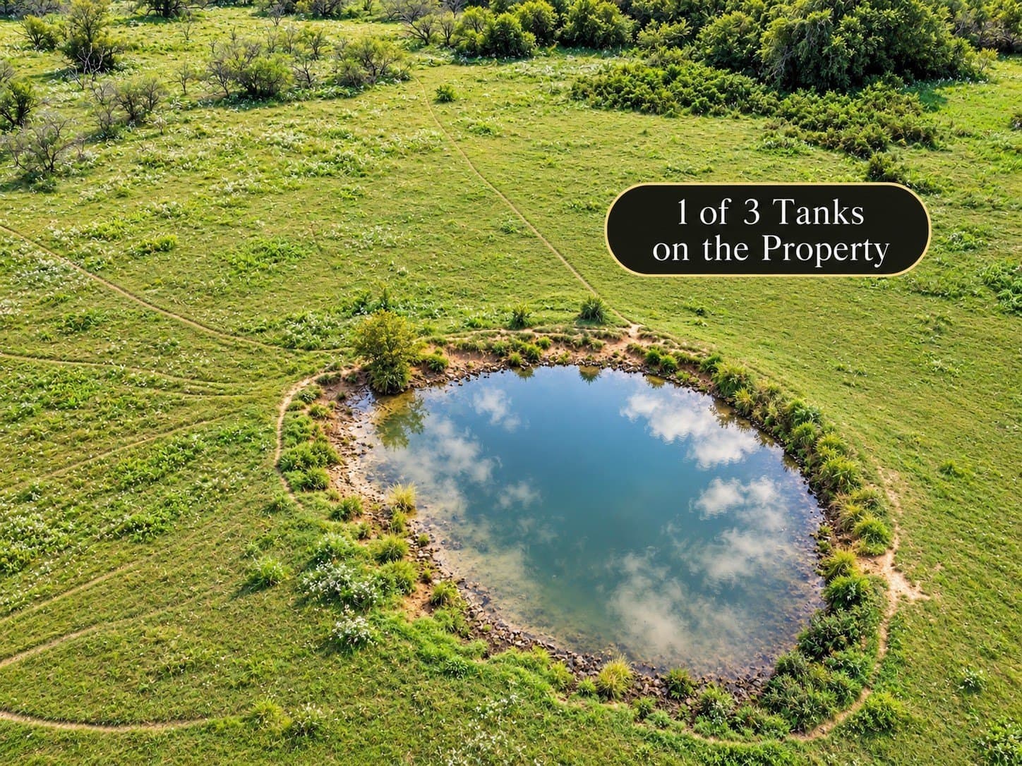 101 acres in Navarro County - photo 10