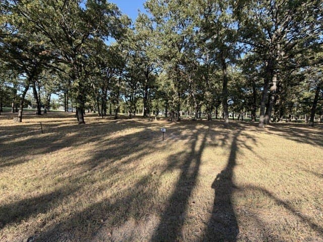 0.27 acres in Henderson County - photo 3