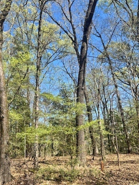 1.09 acres in Texas County gallery image 4