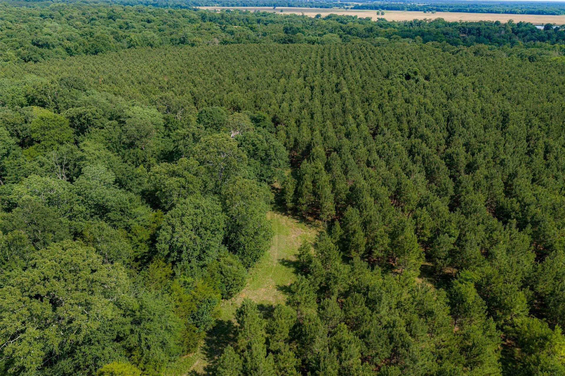 180 acres in Anderson County featured view