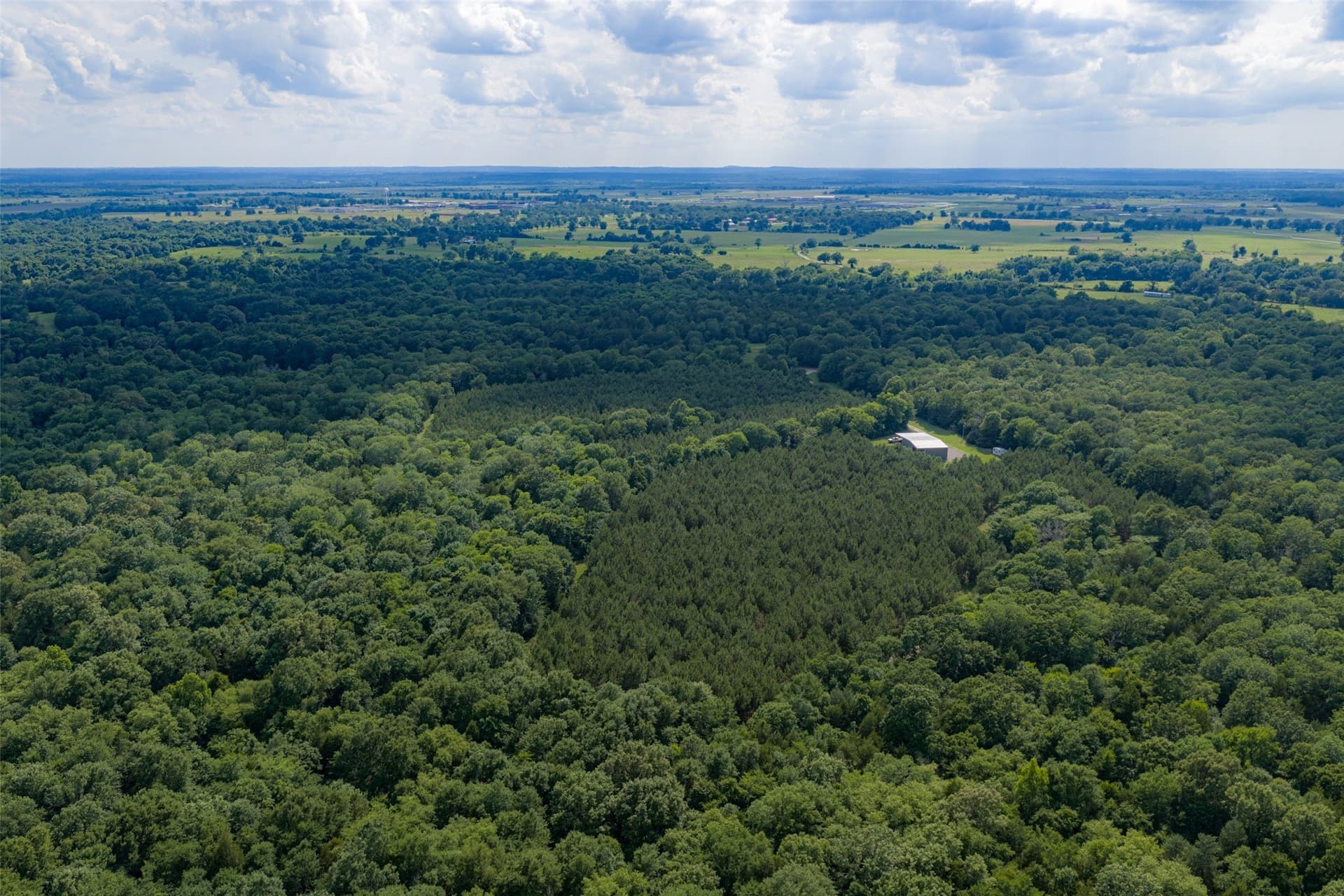 180 acres in Anderson County gallery image 2