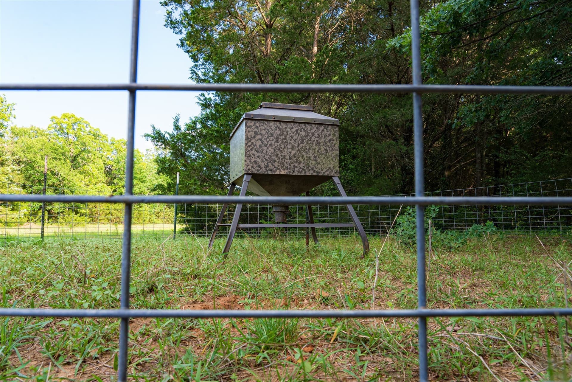 180 acres in Anderson County gallery image 4