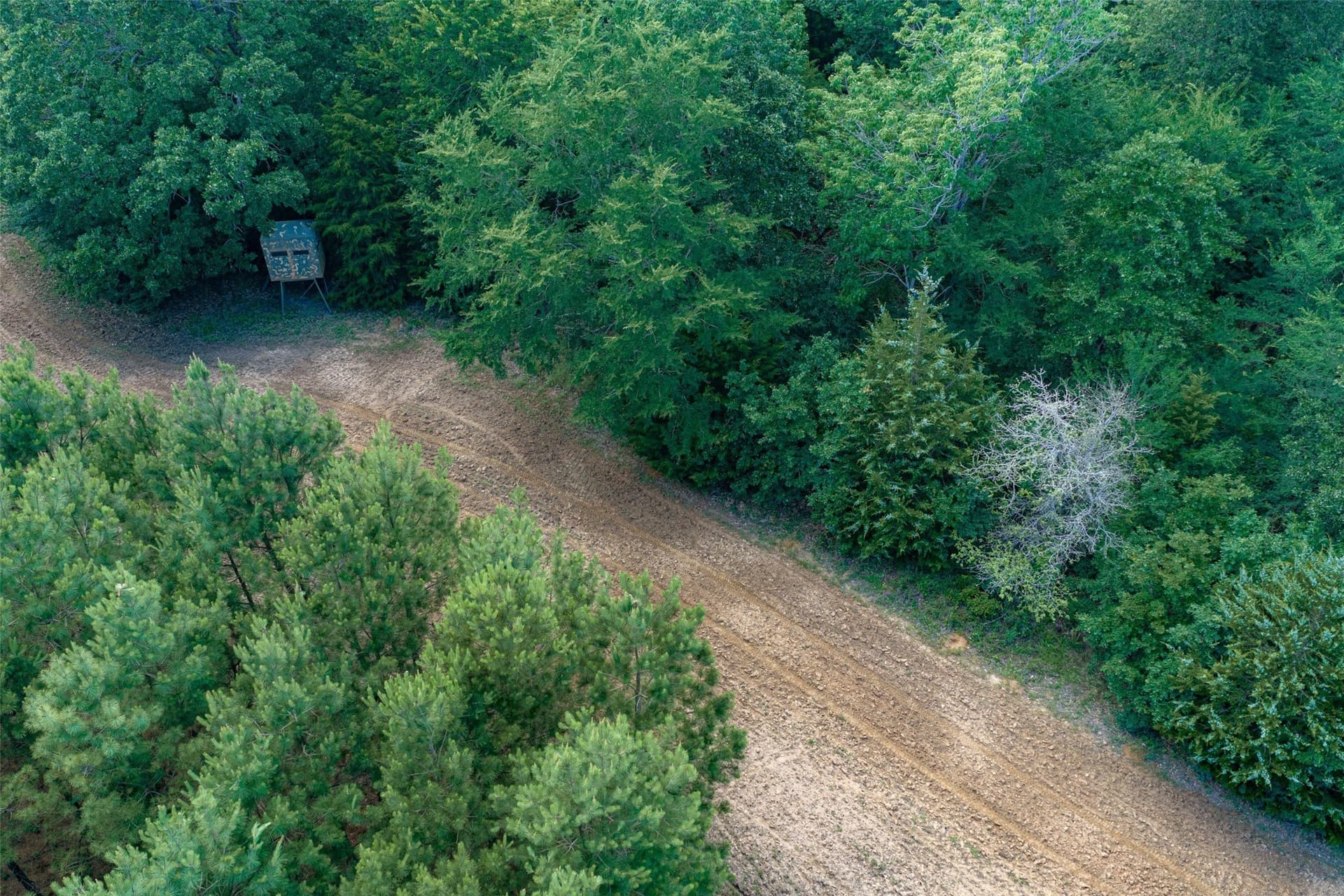 180 acres in Anderson County