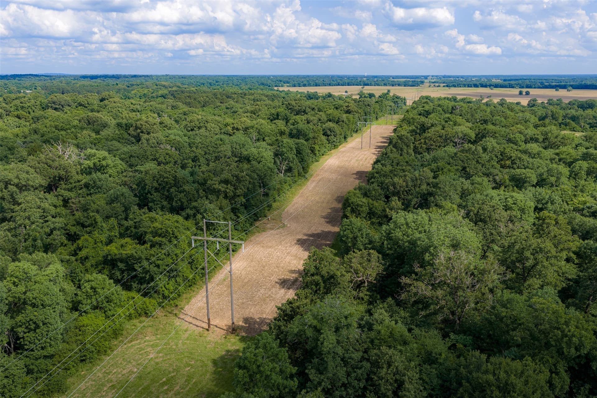 180 acres in Anderson County gallery image 3