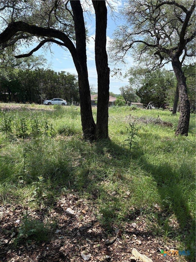 0.11 acres in Bell County gallery image 3