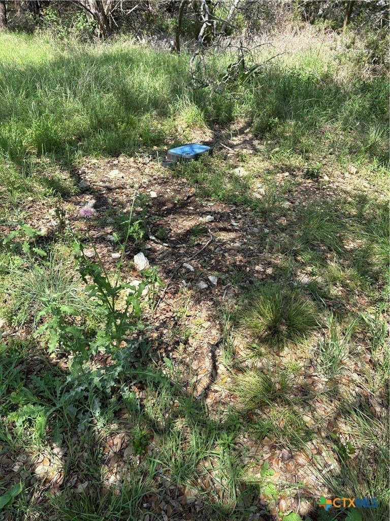 0.11 acres in Bell County gallery image 2